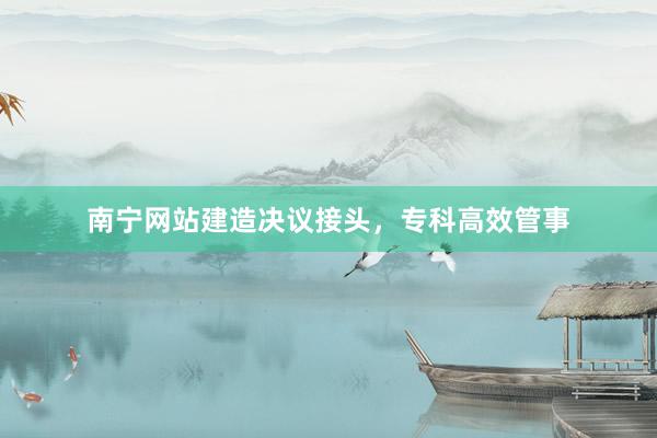 南宁网站建造决议接头，专科高效管事