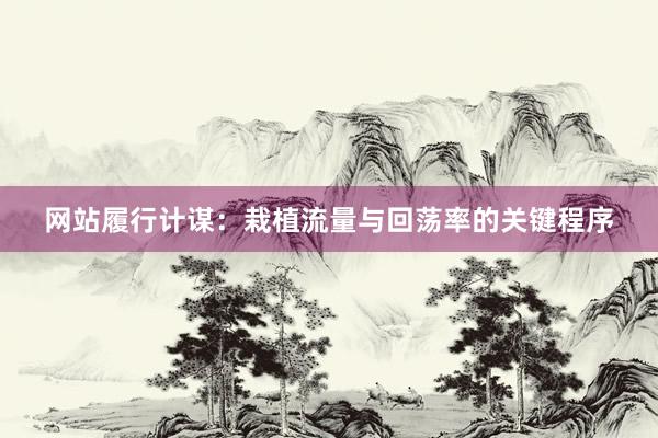 网站履行计谋：栽植流量与回荡率的关键程序